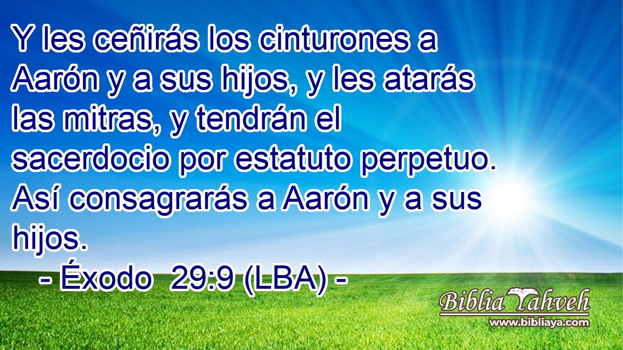 Y les ceñirás los cinturones a Aarón y a sus hijos, y les atarás las mitras, y tendrán el sacerdocio por estatuto perpetuo. Así consagrarás a Aarón y a sus hijos.