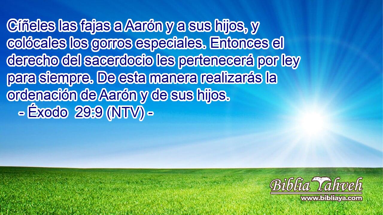 Cíñeles las fajas a Aarón y a sus hijos, y colócales los gorros especiales. Entonces el derecho del sacerdocio les pertenecerá por ley para siempre. De esta manera realizarás la ordenación de Aarón y de sus hijos.