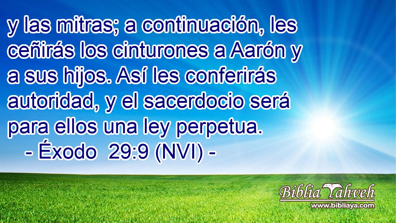  y las mitras; a continuación, les ceñirás los cinturones a Aarón y a sus hijos. Así les conferirás autoridad, y el sacerdocio será para ellos una ley perpetua. 