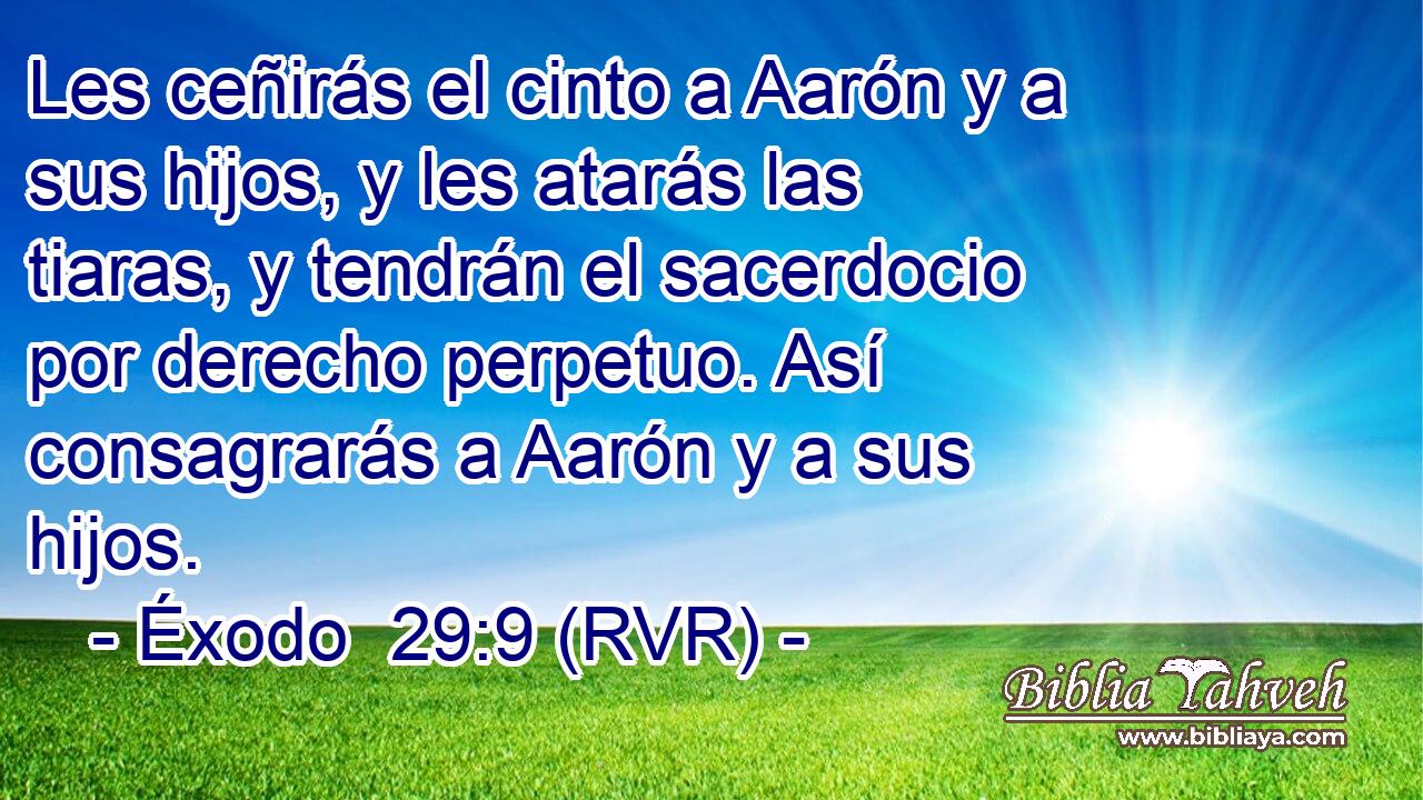 Les ceñirás el cinto a Aarón y a sus hijos, y les atarás las tiaras, y tendrán el sacerdocio por derecho perpetuo. Así consagrarás a Aarón y a sus hijos.