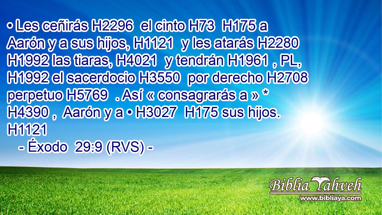 • Les ceñirás H2296  el cinto H73  H175 a Aarón y a sus hijos, H1121  y les atarás H2280  H1992 las tiaras, H4021  y tendrán H1961 , PL,  H1992 el sacerdocio H3550  por derecho H2708  perpetuo H5769  . Así « consagrarás a » * H4390 ,  Aarón y a • H3027  H175 sus hijos. H1121  