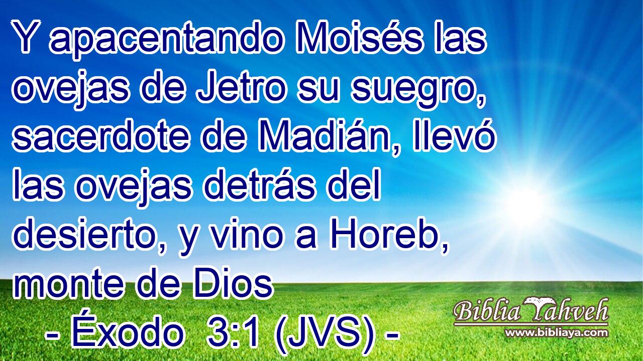 Y apacentando Moisés las ovejas de Jetro su suegro, sacerdote de Madián, llevó las ovejas detrás del desierto, y vino a Horeb, monte de Dios