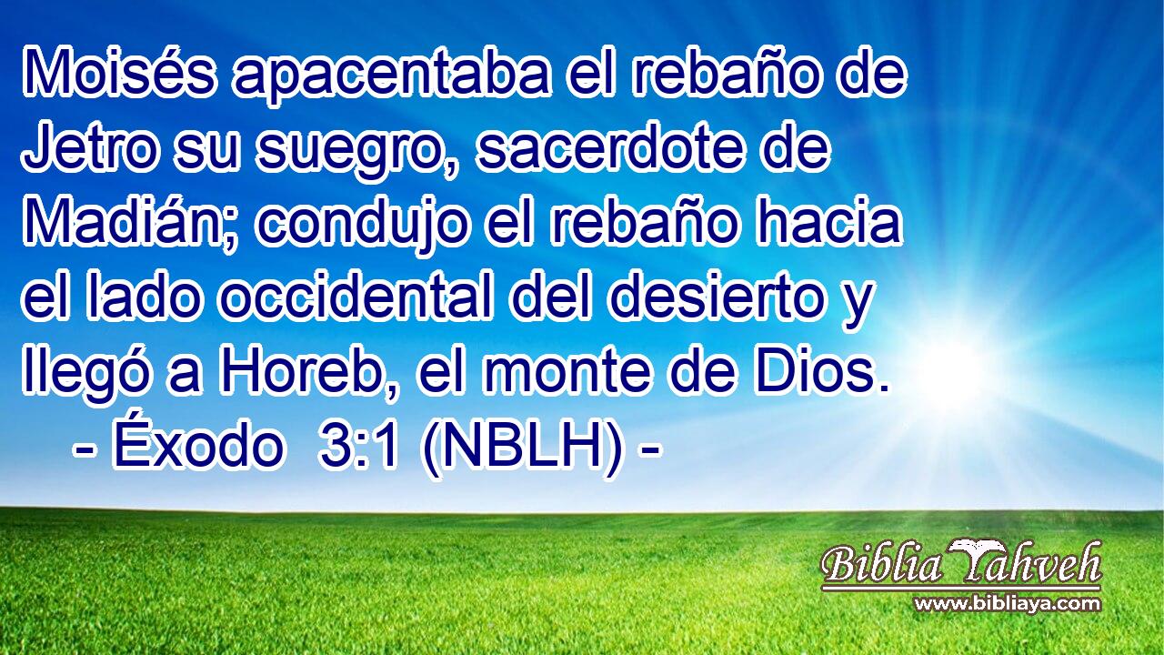  Moisés apacentaba el rebaño de Jetro su suegro, sacerdote de Madián; condujo el rebaño hacia el lado occidental del desierto y llegó a Horeb, el monte de Dios. 