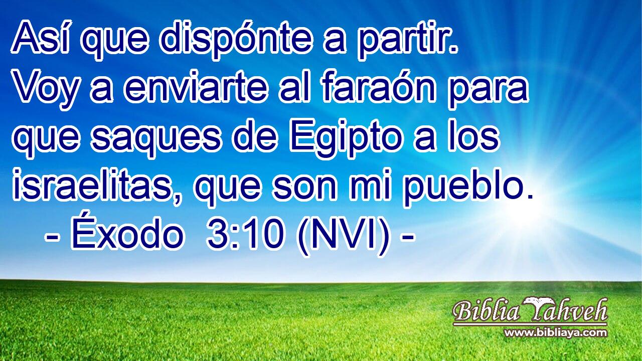  Así que dispónte a partir. Voy a enviarte al faraón para que saques de Egipto a los israelitas, que son mi pueblo. 