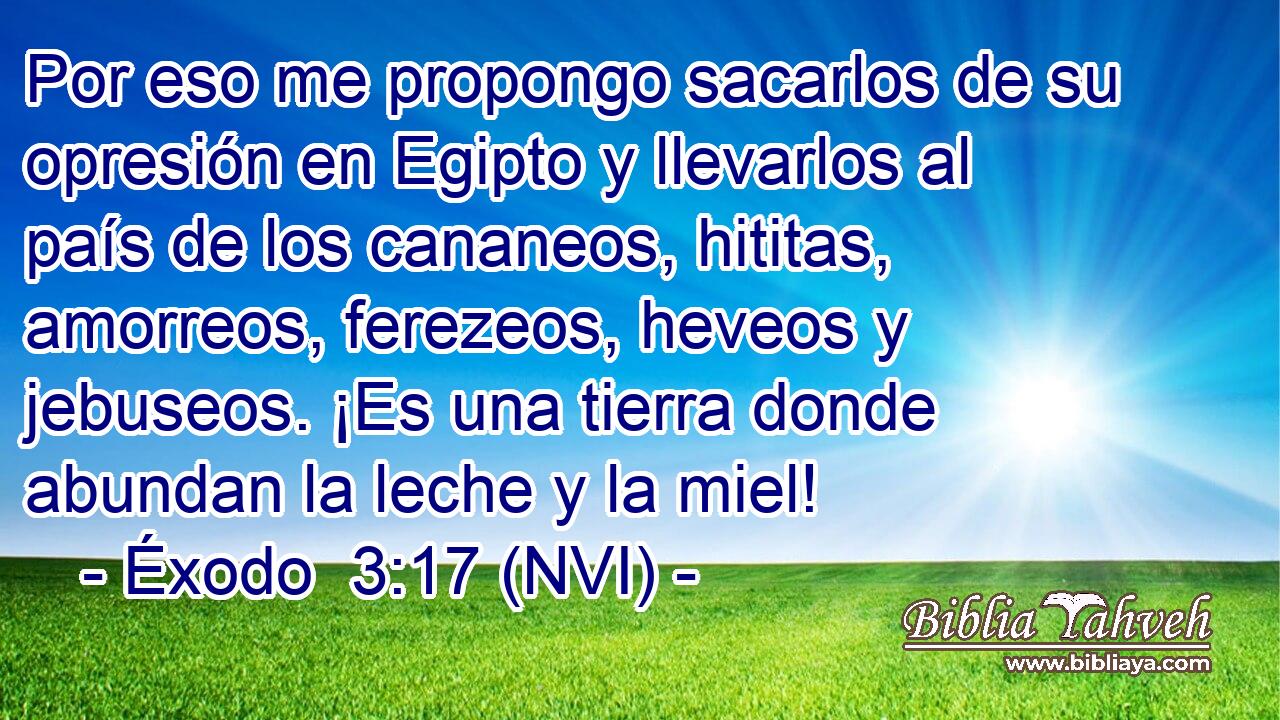  Por eso me propongo sacarlos de su opresión en Egipto y llevarlos al país de los cananeos, hititas, amorreos, ferezeos, heveos y jebuseos. ¡Es una tierra donde abundan la leche y la miel! 