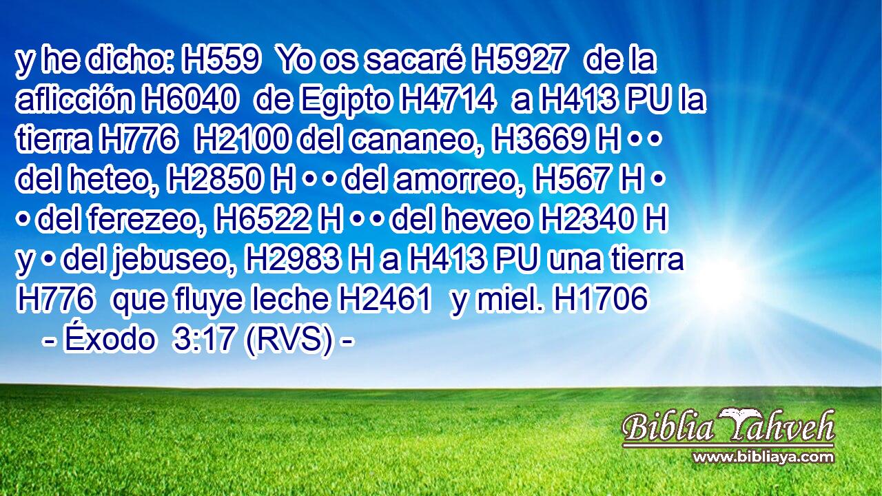 y he dicho: H559  Yo os sacaré H5927  de la aflicción H6040  de Egipto H4714  a H413 PU la tierra H776  H2100 del cananeo, H3669 H • • del heteo, H2850 H • • del amorreo, H567 H • • del ferezeo, H6522 H • • del heveo H2340 H y • del jebuseo, H2983 H a H413 PU una tierra H776  que fluye leche H2461  y miel. H1706  