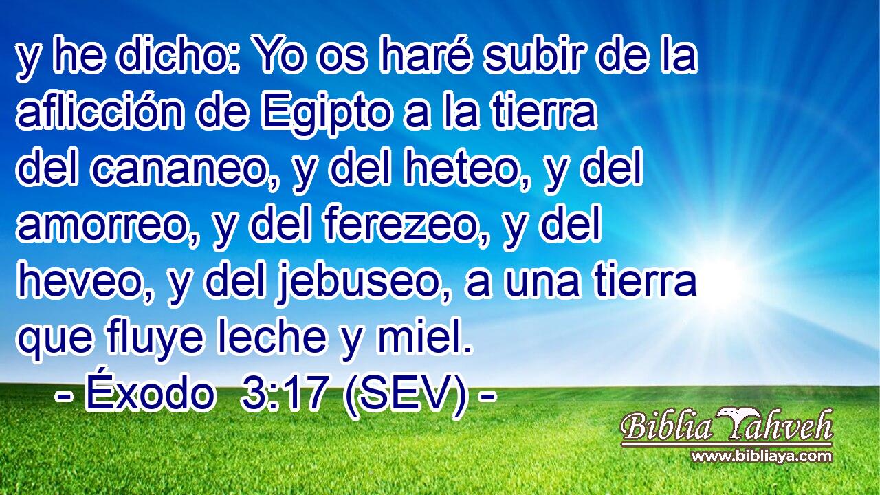 y he dicho: Yo os haré subir de la aflicción de Egipto a la tierra del cananeo, y del heteo, y del amorreo, y del ferezeo, y del heveo, y del jebuseo, a una tierra que fluye leche y miel.