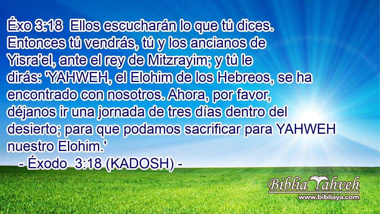  Ellos escucharán lo que tú dices. Entonces tú vendrás, tú y los ancianos de Yisra'el, ante el rey de Mitzrayim; y tú le dirás: 'YAHWEH, el Elohim de los Hebreos, se ha encontrado con nosotros. Ahora, por favor, déjanos ir una jornada de tres días dentro del desierto; para que podamos sacrificar para YAHWEH nuestro Elohim.' 