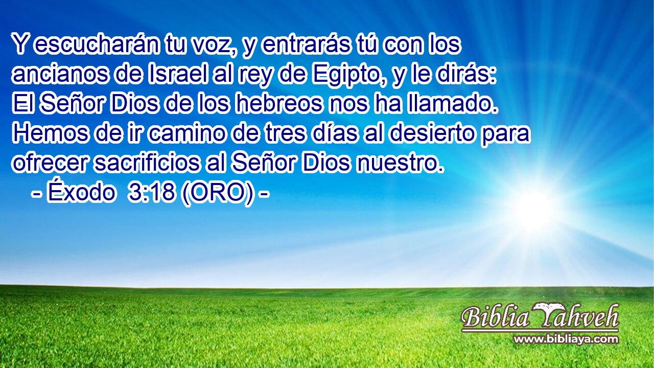  Y escucharán tu voz, y entrarás tú con los ancianos de Israel al rey de Egipto, y le dirás: El Señor Dios de los hebreos nos ha llamado. Hemos de ir camino de tres días al desierto para ofrecer sacrificios al Señor Dios nuestro. 