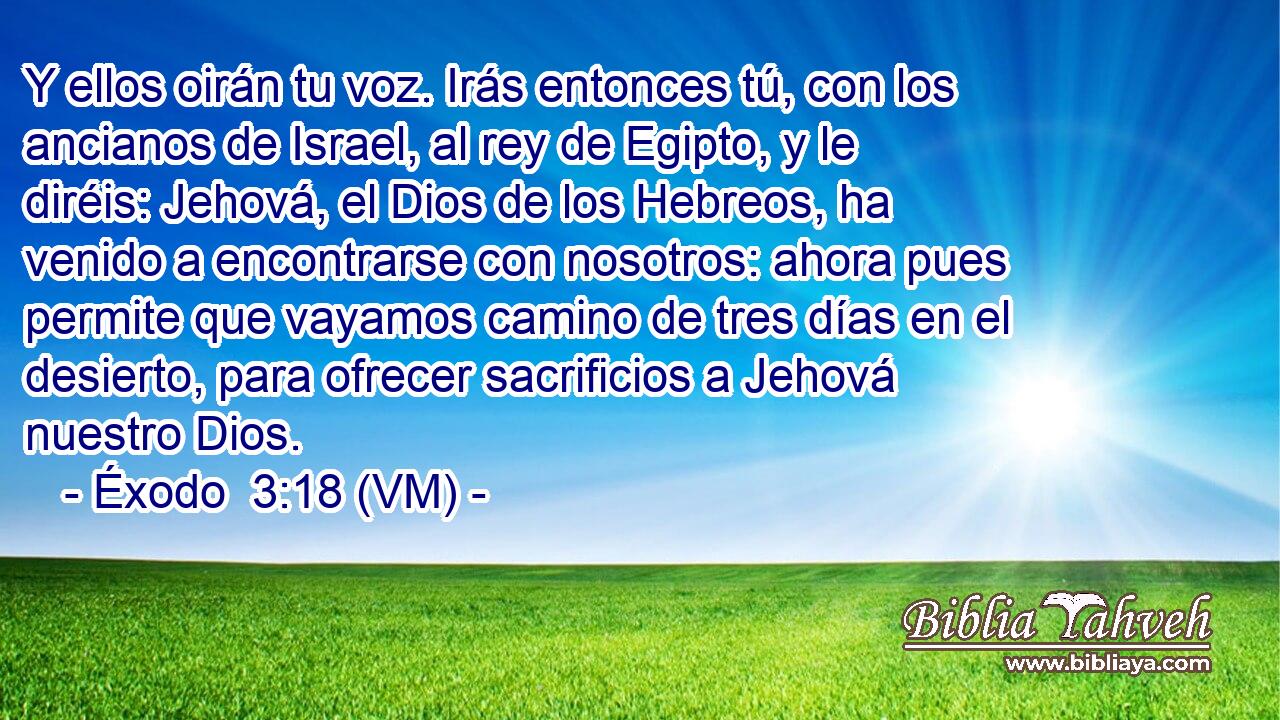  Y ellos oirán tu voz. Irás entonces tú, con los ancianos de Israel, al rey de Egipto, y le diréis: Jehová, el Dios de los Hebreos, ha venido a encontrarse con nosotros: ahora pues permite que vayamos camino de tres días en el desierto, para ofrecer sacrificios a Jehová nuestro Dios. 