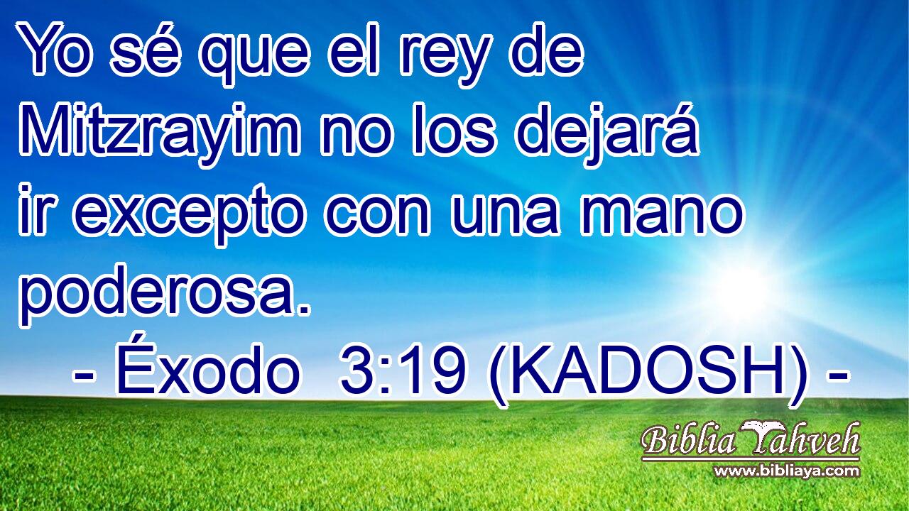  Yo sé que el rey de Mitzrayim no los dejará ir excepto con una mano poderosa. 