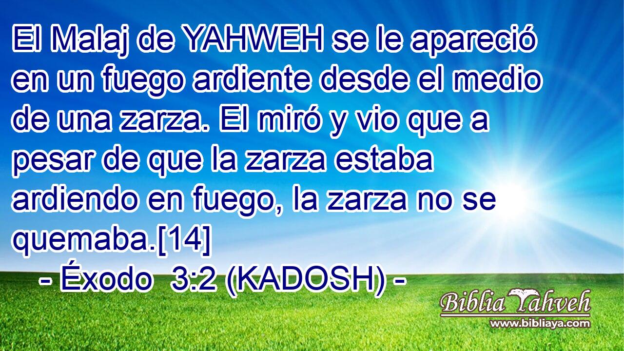  El Malaj de YAHWEH se le apareció en un fuego ardiente desde el medio de una zarza. El miró y vio que a pesar de que la zarza estaba ardiendo en fuego, la zarza no se quemaba.[14] 