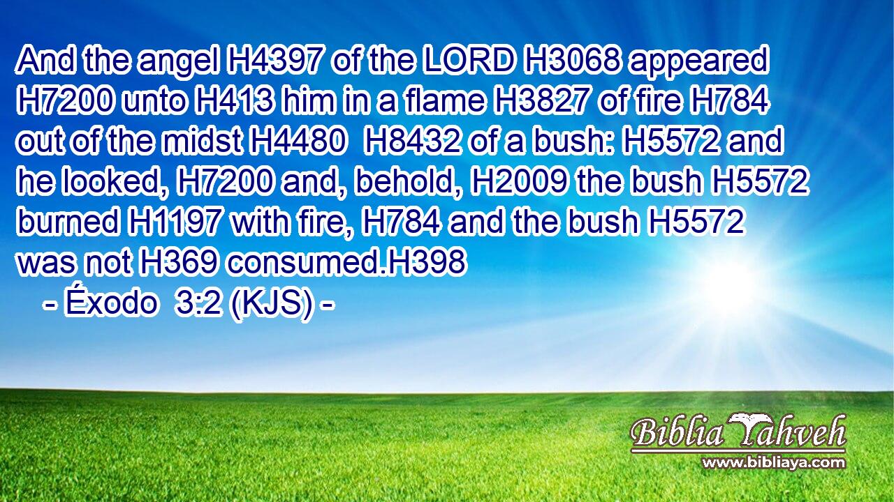 And the angel H4397 of the LORD H3068 appeared H7200 unto H413 him in a flame H3827 of fire H784 out of the midst H4480  H8432 of a bush: H5572 and he looked, H7200 and, behold, H2009 the bush H5572 burned H1197 with fire, H784 and the bush H5572 was not H369 consumed.H398