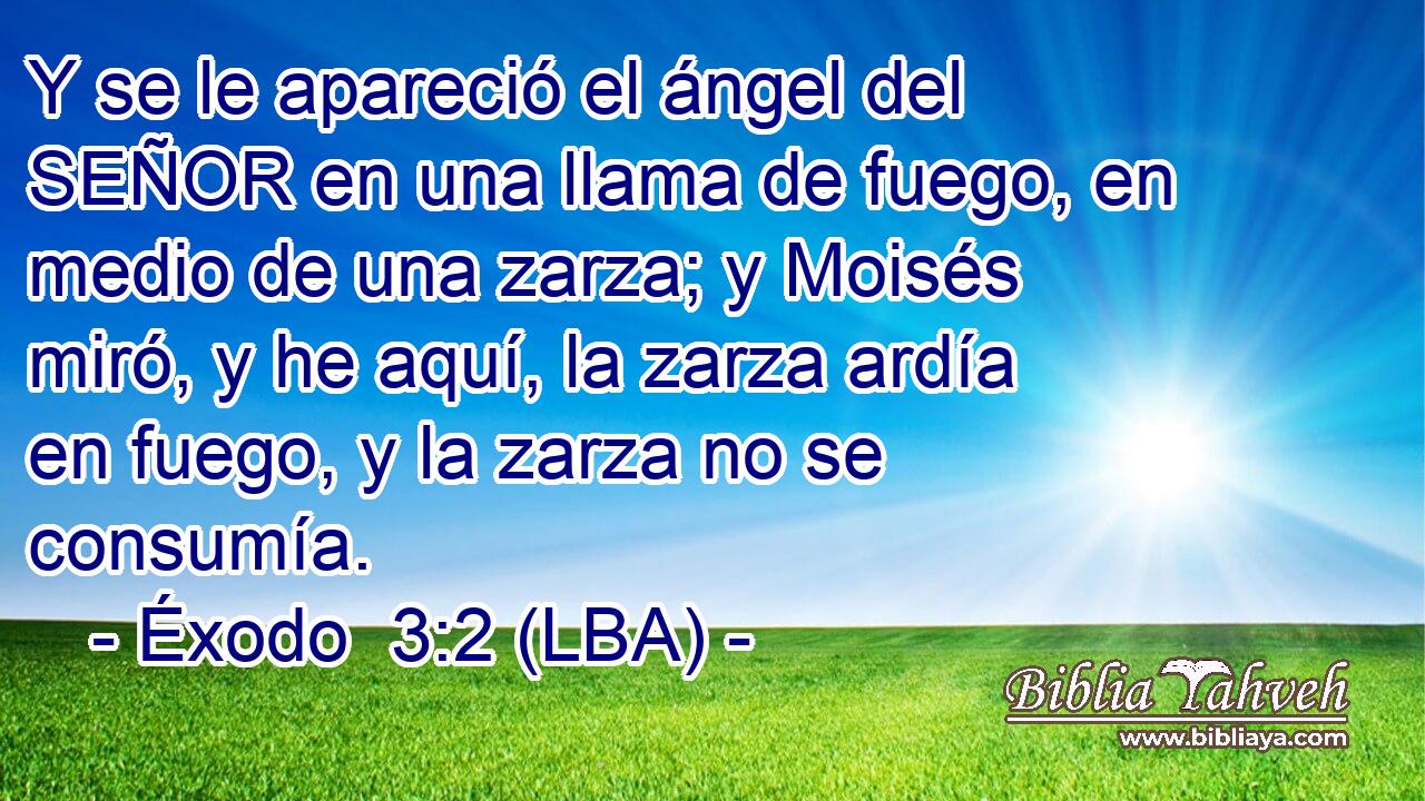 Y se le apareció el ángel del SEÑOR en una llama de fuego, en medio de una zarza; y Moisés miró, y he aquí, la zarza ardía en fuego, y la zarza no se consumía.