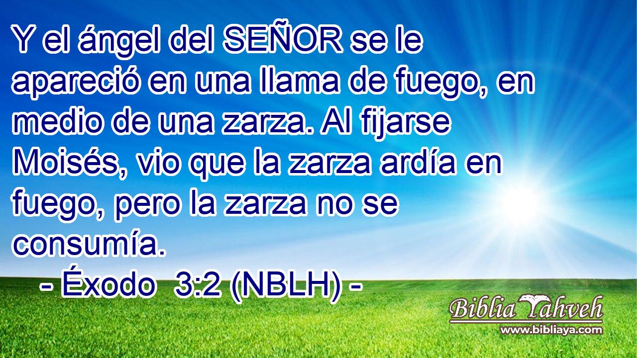 Y el ángel del SEÑOR se le apareció en una llama de fuego, en medio de una zarza. Al fijarse Moisés, vio que la zarza ardía en fuego, pero la zarza no se consumía. 
