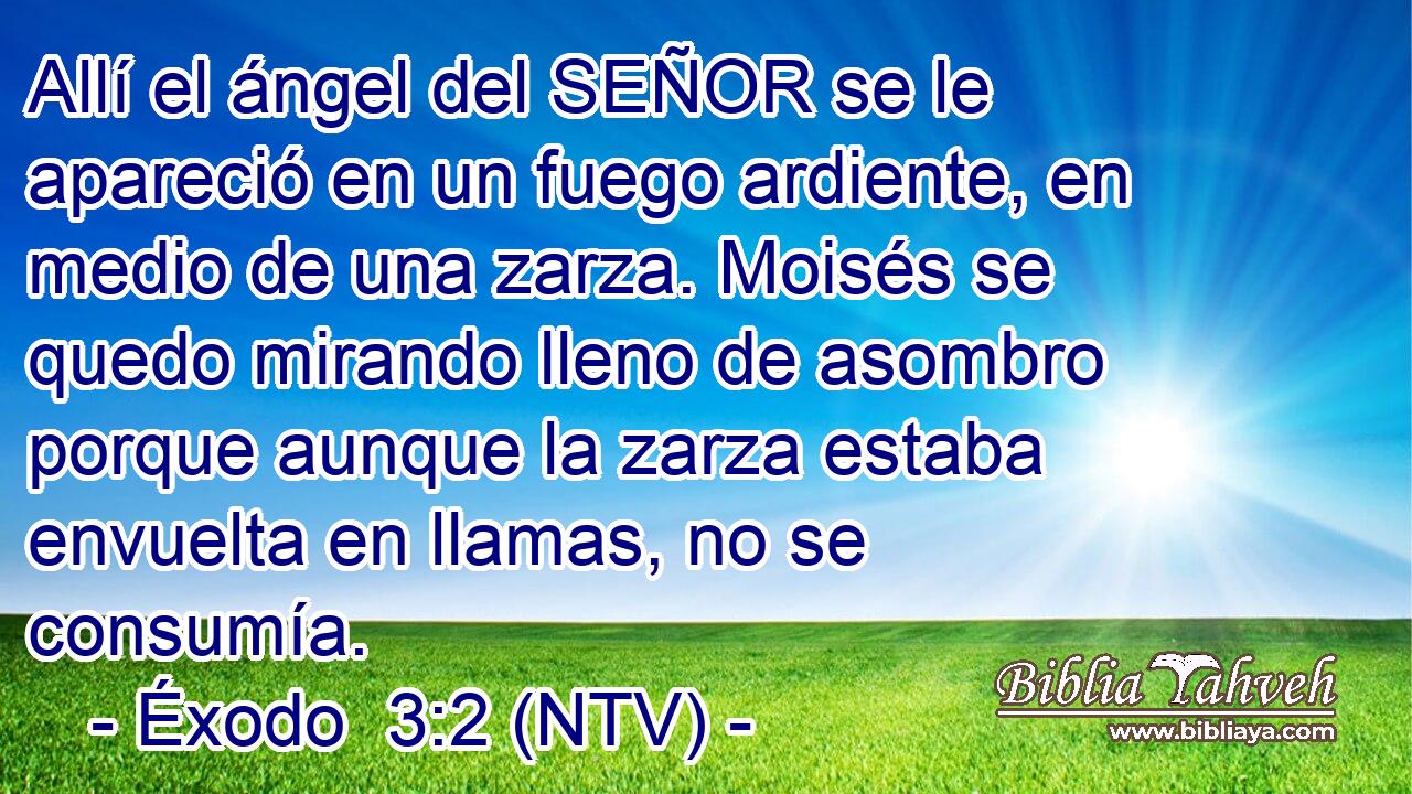 Allí el ángel del SEÑOR se le apareció en un fuego ardiente, en medio de una zarza. Moisés se quedo mirando lleno de asombro porque aunque la zarza estaba envuelta en llamas, no se consumía.