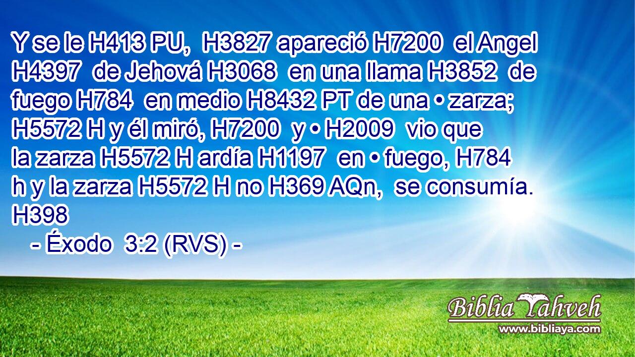 Y se le H413 PU,  H3827 apareció H7200  el Angel H4397  de Jehová H3068  en una llama H3852  de fuego H784  en medio H8432 PT de una • zarza; H5572 H y él miró, H7200  y • H2009  vio que la zarza H5572 H ardía H1197  en • fuego, H784 h y la zarza H5572 H no H369 AQn,  se consumía. H398  