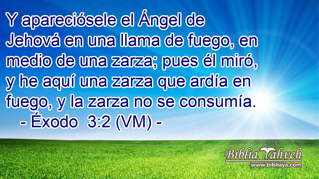  Y apareciósele el Ángel de Jehová en una llama de fuego, en medio de una zarza; pues él miró, y he aquí una zarza que ardía en fuego, y la zarza no se consumía. 