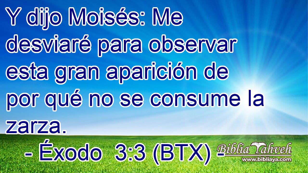 Y dijo Moisés: Me desviaré para observar esta gran aparición de por qué no se consume la zarza.