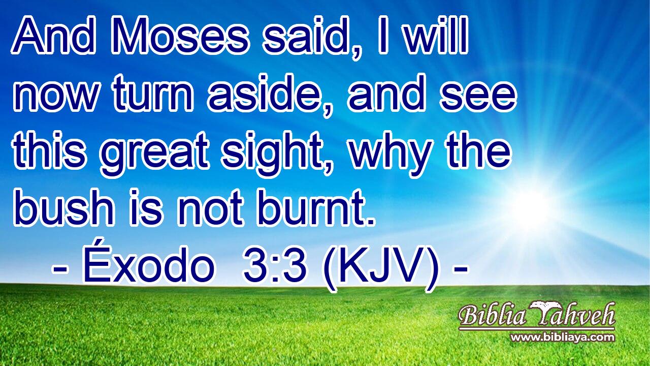 And Moses said, I will now turn aside, and see this great sight, why the bush is not burnt.