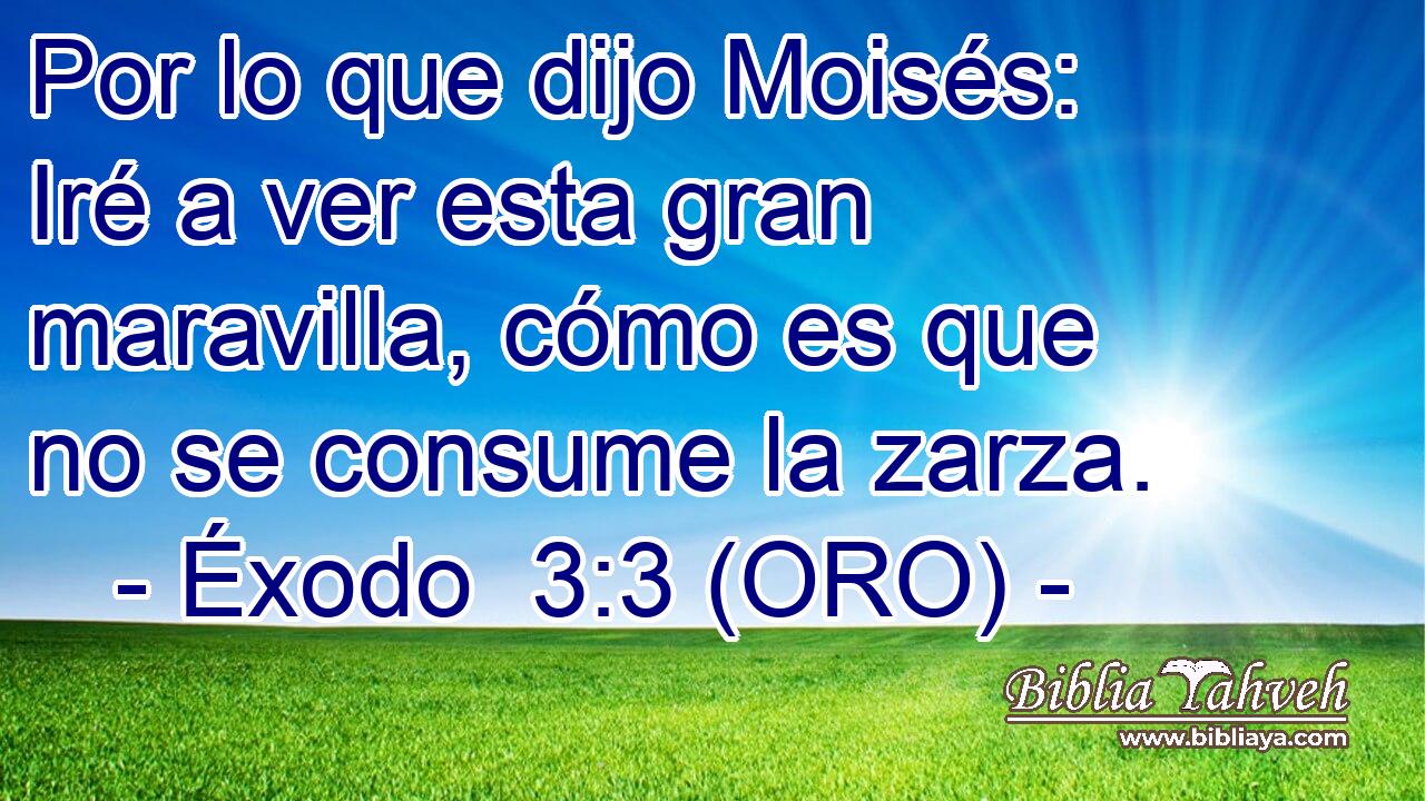  Por lo que dijo Moisés: Iré a ver esta gran maravilla, cómo es que no se consume la zarza. 