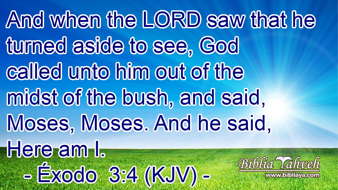 And when the LORD saw that he turned aside to see, God called unto him out of the midst of the bush, and said, Moses, Moses. And he said, Here am I.
