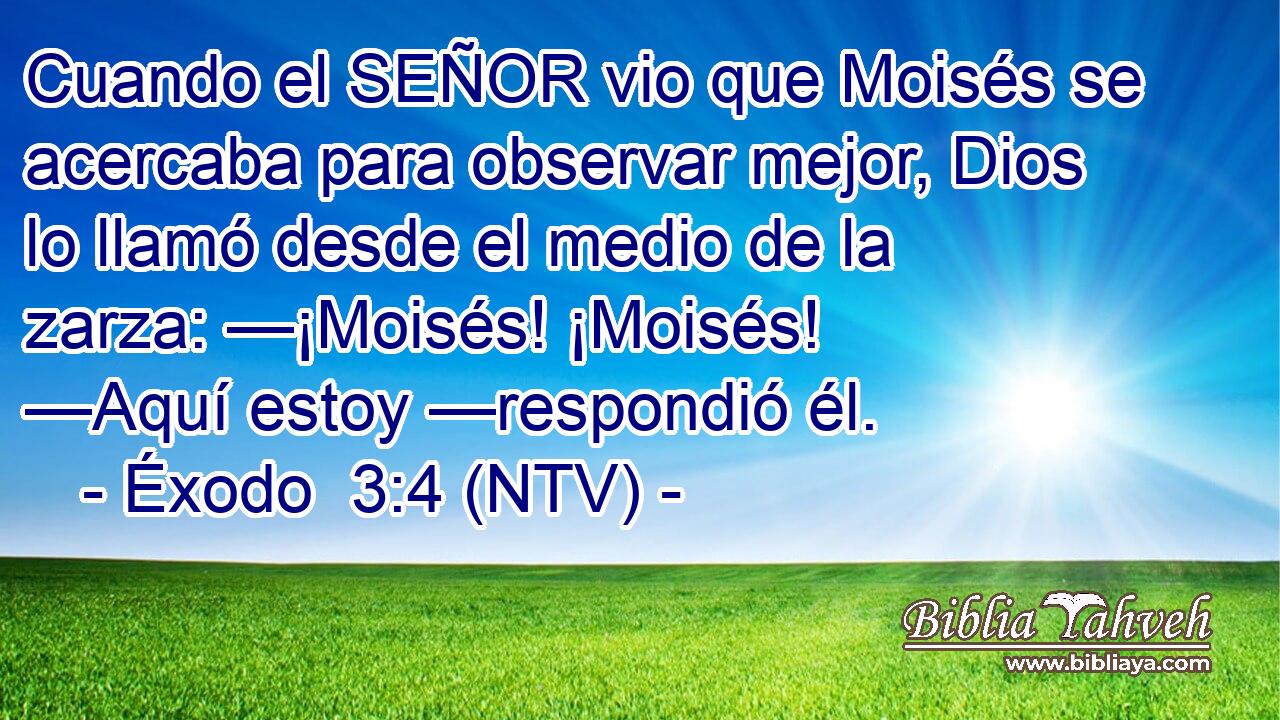 Cuando el SEÑOR vio que Moisés se acercaba para observar mejor, Dios lo llamó desde el medio de la zarza: —¡Moisés! ¡Moisés! —Aquí estoy —respondió él.