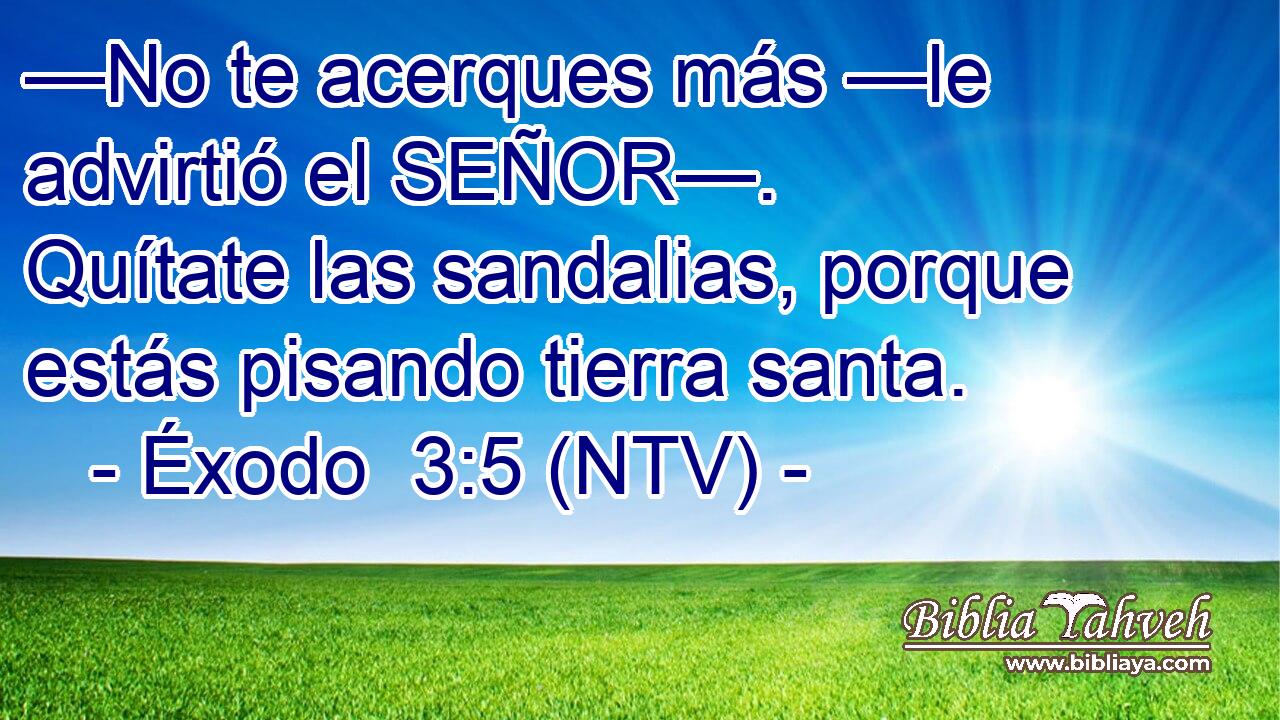 —No te acerques más —le advirtió el SEÑOR—. Quítate las sandalias, porque estás pisando tierra santa.