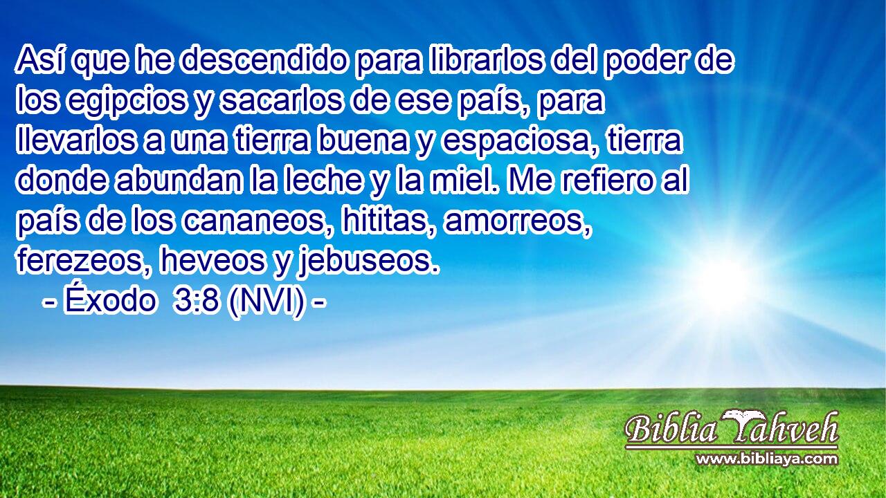  Así que he descendido para librarlos del poder de los egipcios y sacarlos de ese país, para llevarlos a una tierra buena y espaciosa, tierra donde abundan la leche y la miel. Me refiero al país de los cananeos, hititas, amorreos, ferezeos, heveos y jebuseos. 