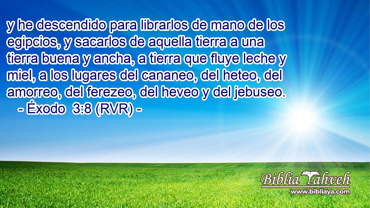 y he descendido para librarlos de mano de los egipcios, y sacarlos de aquella tierra a una tierra buena y ancha, a tierra que fluye leche y miel, a los lugares del cananeo, del heteo, del amorreo, del ferezeo, del heveo y del jebuseo.