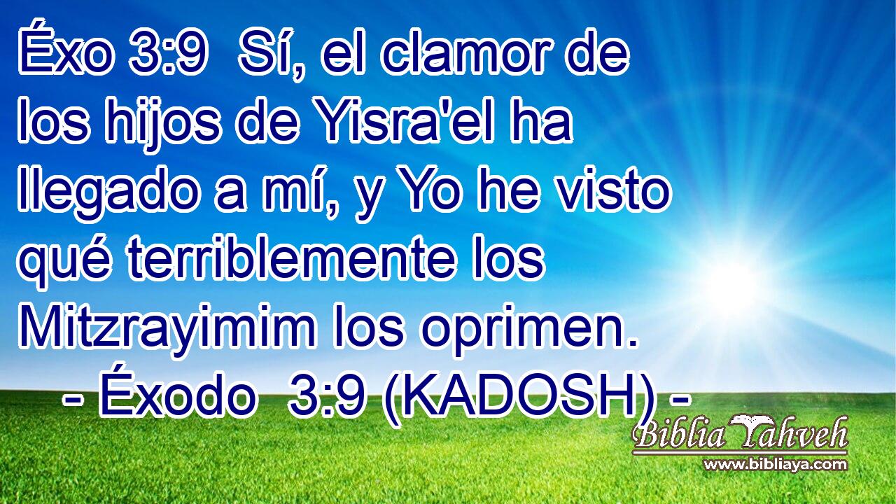  Sí, el clamor de los hijos de Yisra'el ha llegado a mí, y Yo he visto qué terriblemente los Mitzrayimim los oprimen. 