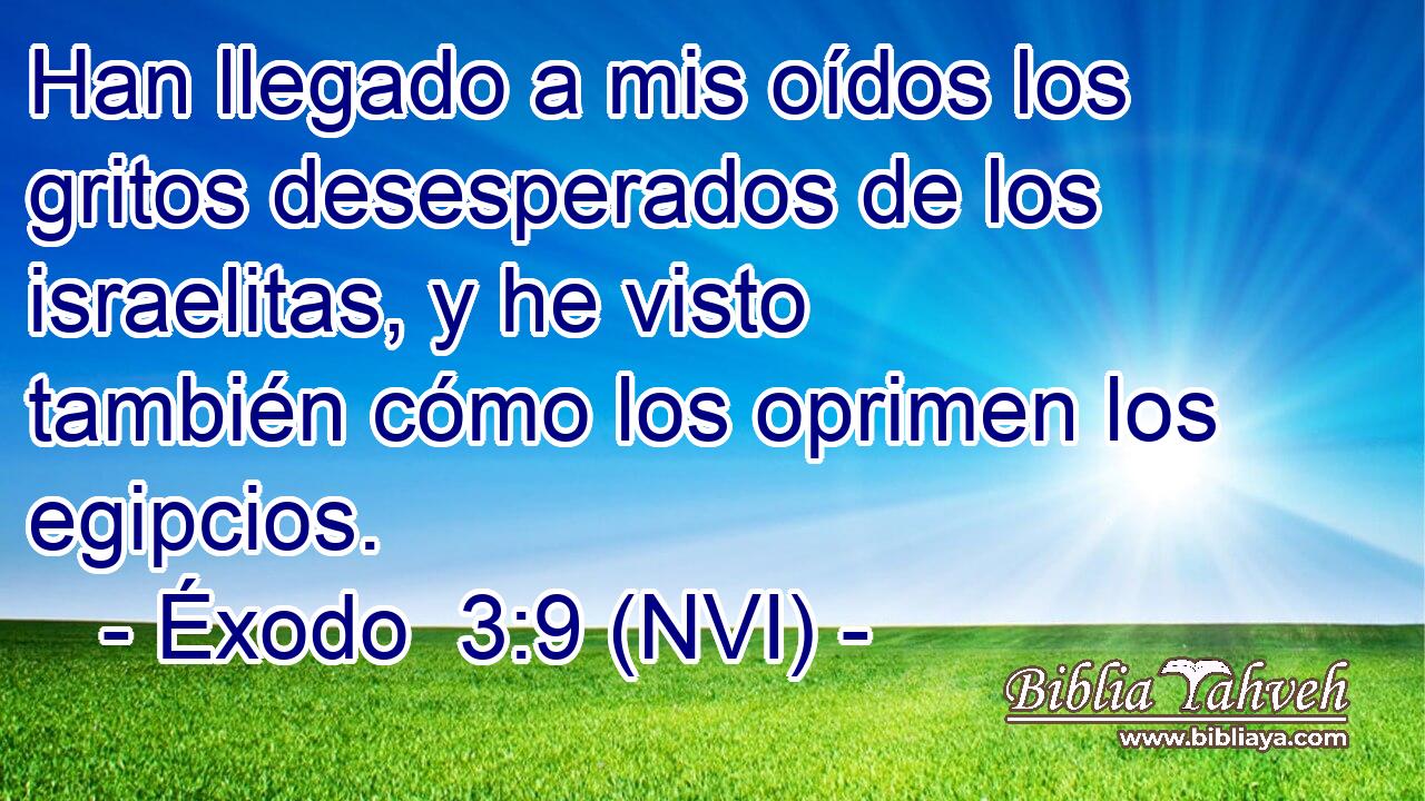 Han llegado a mis oídos los gritos desesperados de los israelitas, y he visto también cómo los oprimen los egipcios. 