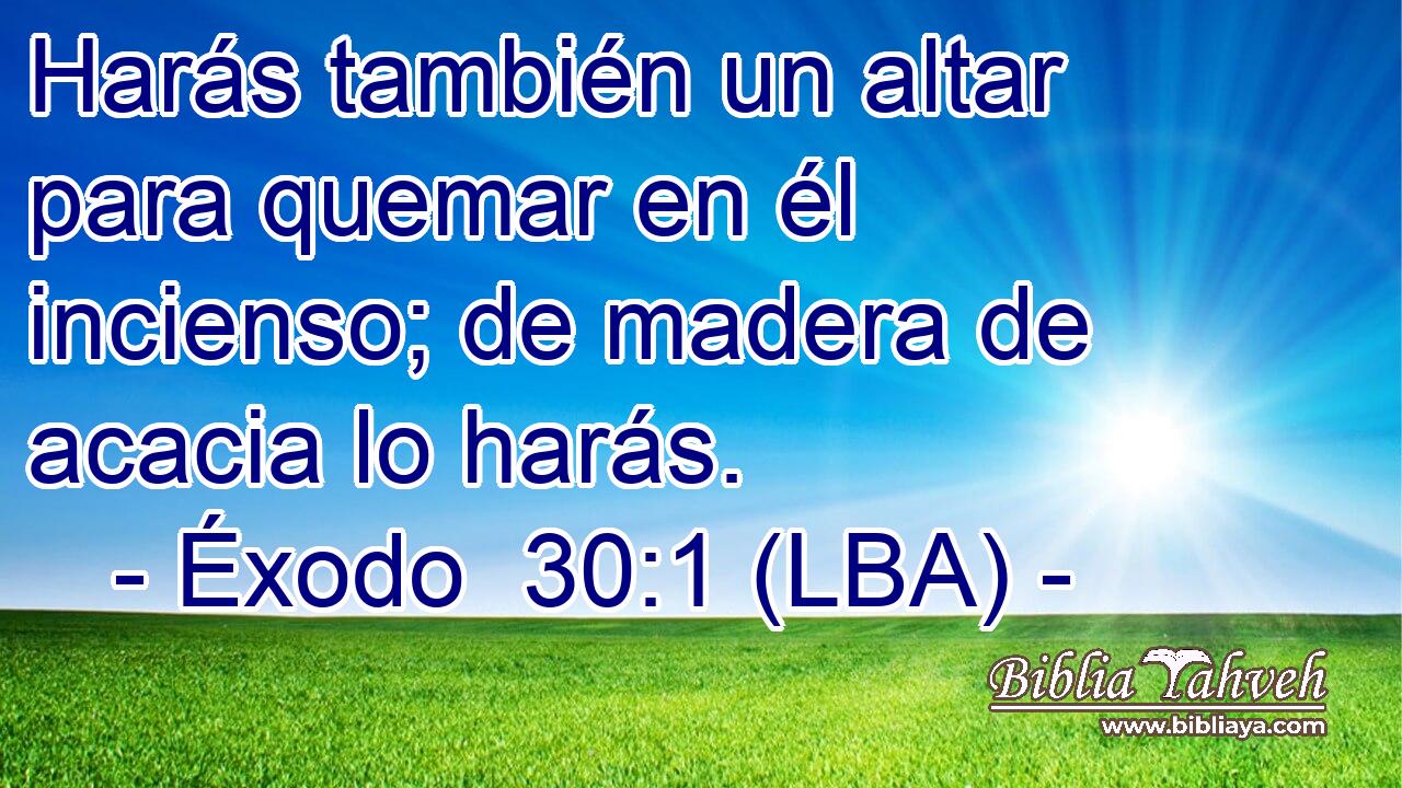 Harás también un altar para quemar en él incienso; de madera de acacia lo harás.