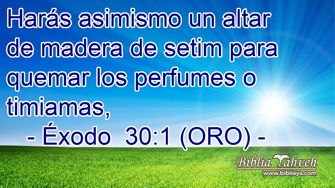  Harás asimismo un altar de madera de setim para quemar los perfumes o timiamas, 