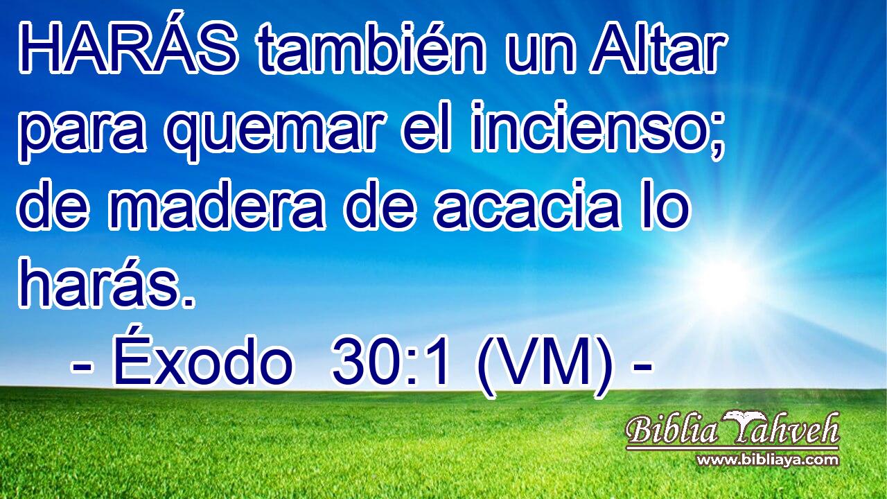  HARÁS también un Altar para quemar el incienso; de madera de acacia lo harás. 