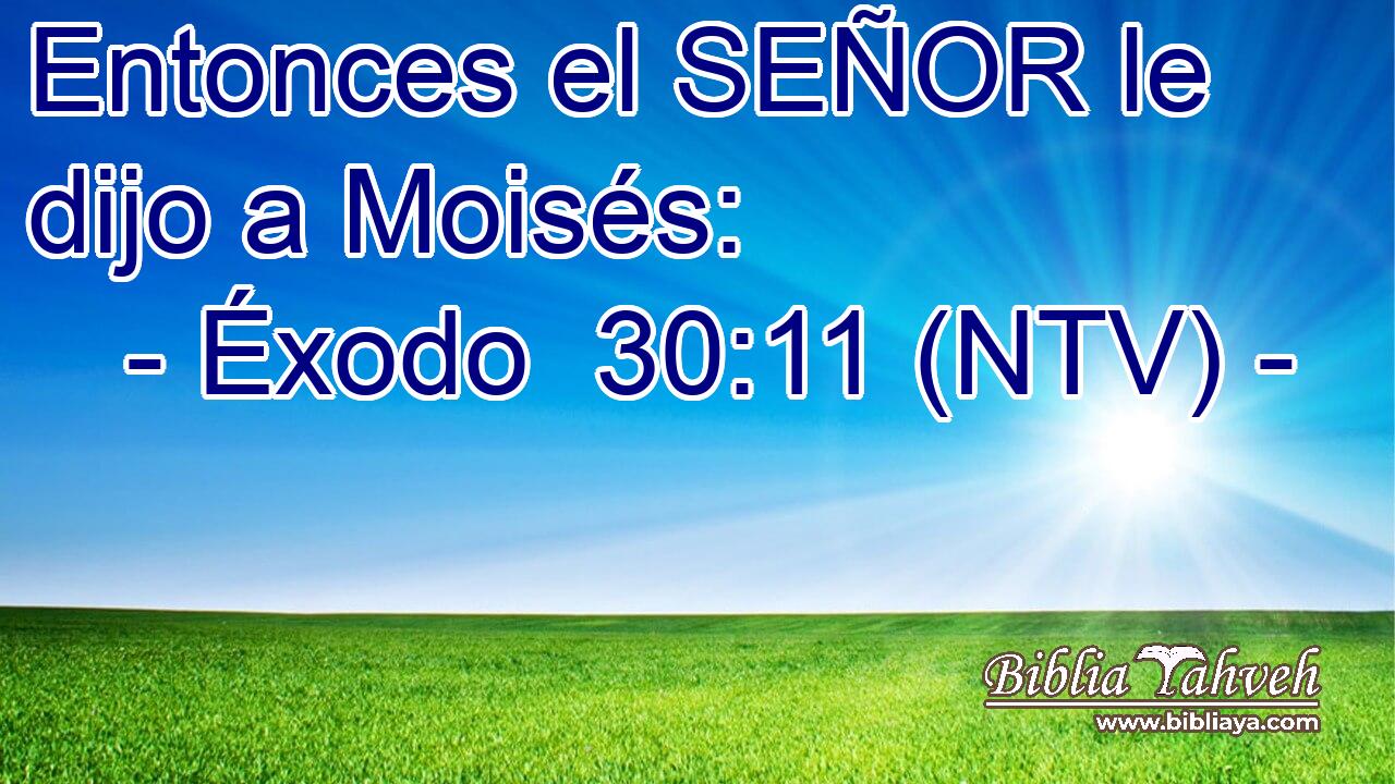 Entonces el SEÑOR le dijo a Moisés: