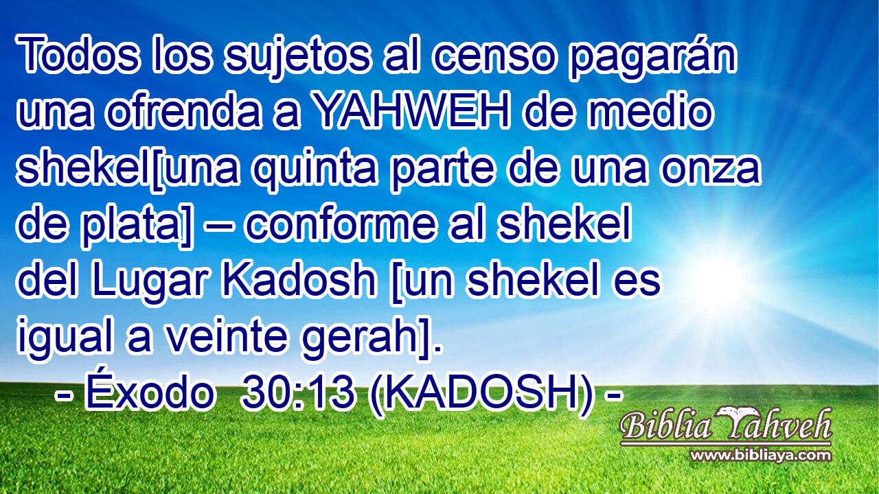  Todos los sujetos al censo pagarán una ofrenda a YAHWEH de medio shekel[una quinta parte de una onza de plata] – conforme al shekel del Lugar Kadosh [un shekel es igual a veinte gerah]. 