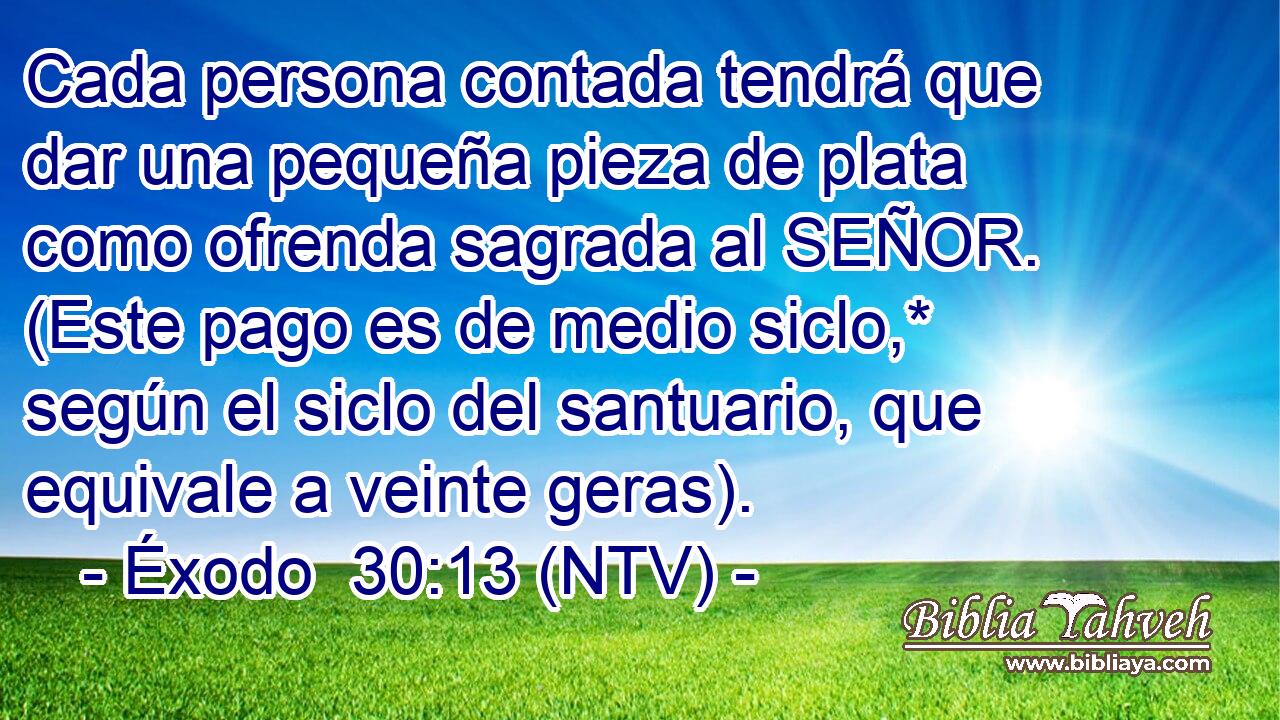 Cada persona contada tendrá que dar una pequeña pieza de plata como ofrenda sagrada al SEÑOR. (Este pago es de medio siclo,* según el siclo del santuario, que equivale a veinte geras).