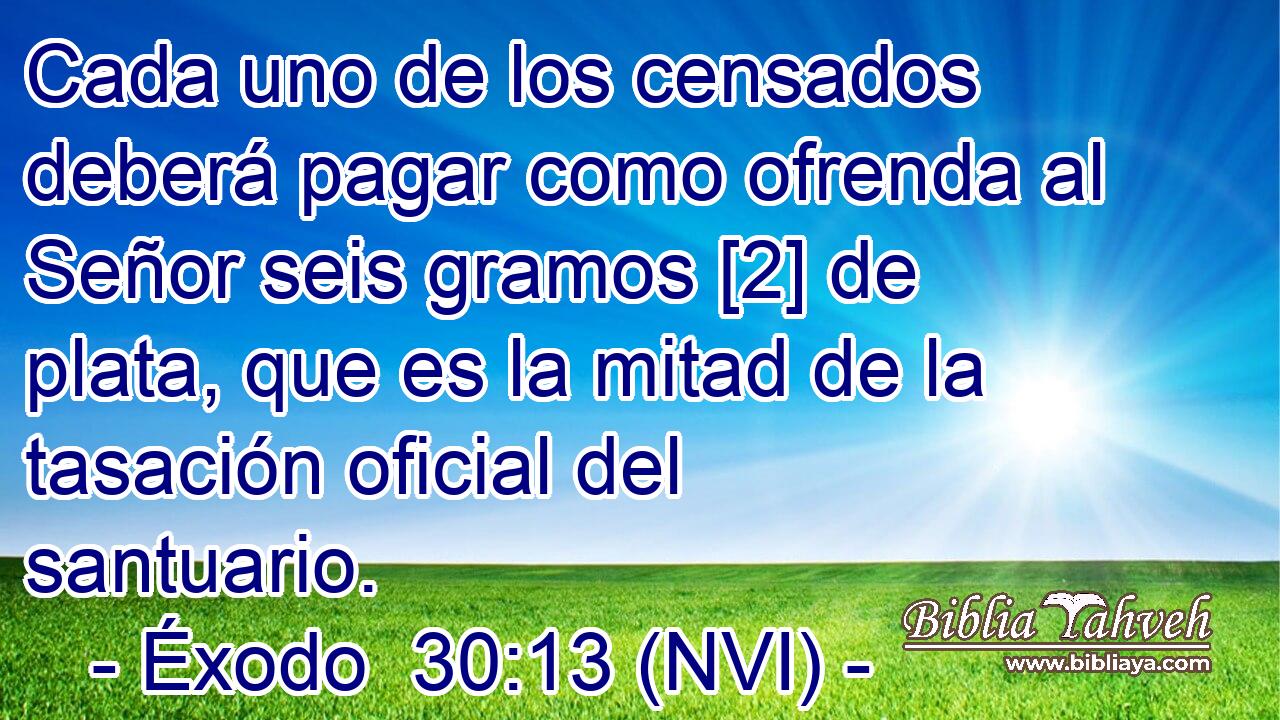  Cada uno de los censados deberá pagar como ofrenda al Señor seis gramos [2] de plata, que es la mitad de la tasación oficial del santuario. 