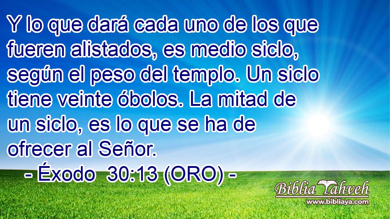  Y lo que dará cada uno de los que fueren alistados, es medio siclo, según el peso del templo. Un siclo tiene veinte óbolos. La mitad de un siclo, es lo que se ha de ofrecer al Señor. 