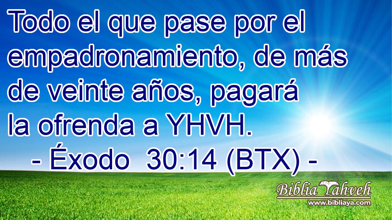 Todo el que pase por el empadronamiento, de más de veinte años, pagará la ofrenda a YHVH.