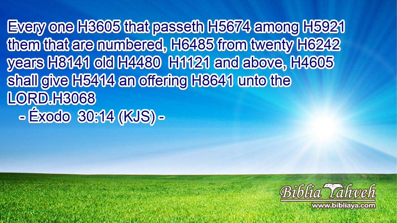 Every one H3605 that passeth H5674 among H5921 them that are numbered, H6485 from twenty H6242 years H8141 old H4480  H1121 and above, H4605 shall give H5414 an offering H8641 unto the LORD.H3068