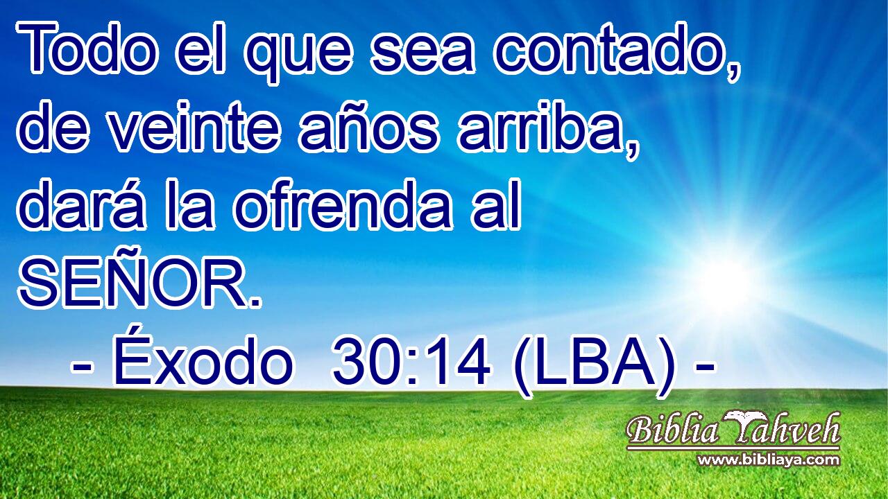 Todo el que sea contado, de veinte años arriba, dará la ofrenda al SEÑOR.