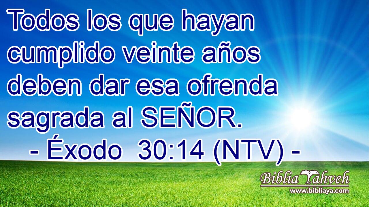 Todos los que hayan cumplido veinte años deben dar esa ofrenda sagrada al SEÑOR.