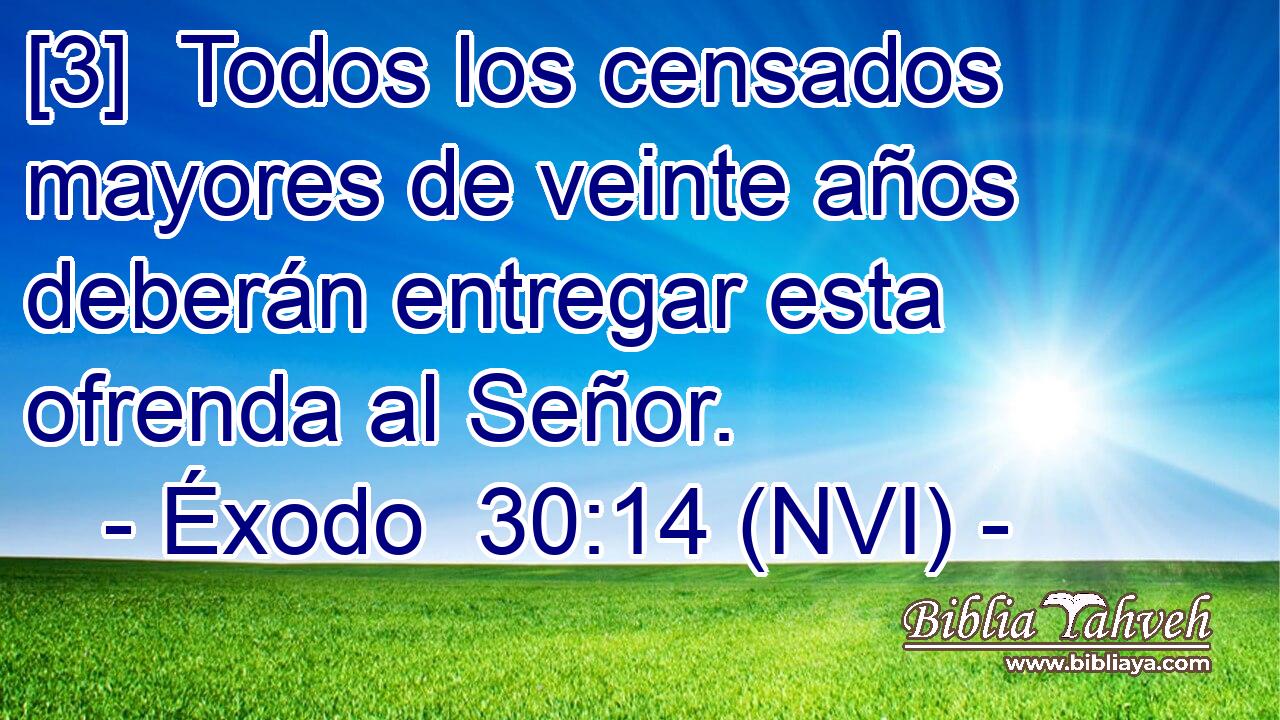  [3]  Todos los censados mayores de veinte años deberán entregar esta ofrenda al Señor. 
