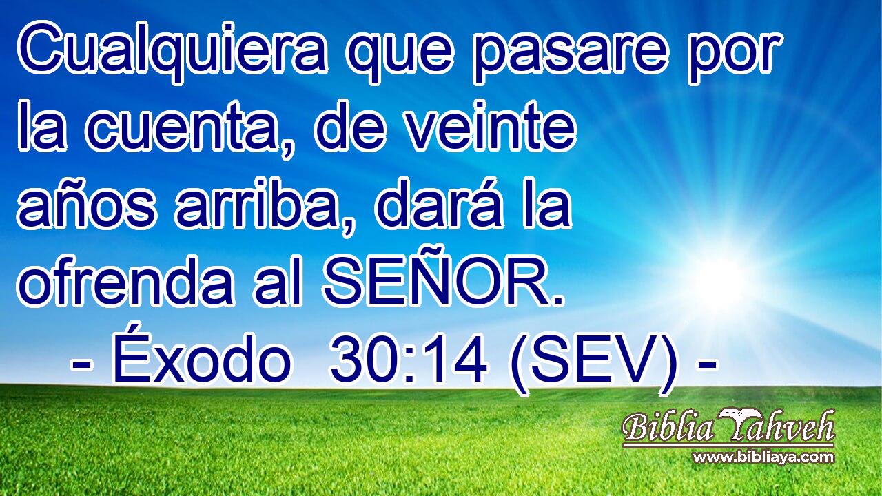 Cualquiera que pasare por la cuenta, de veinte años arriba, dará la ofrenda al SEÑOR.
