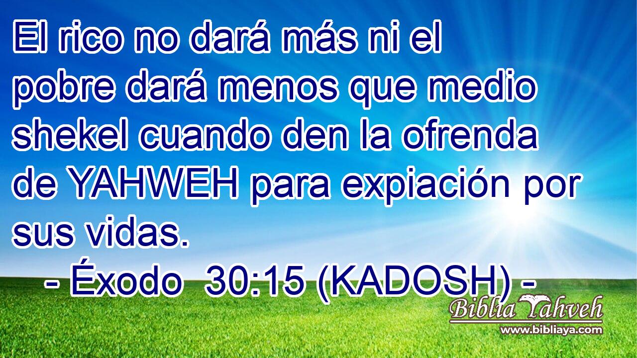  El rico no dará más ni el pobre dará menos que medio shekel cuando den la ofrenda de YAHWEH para expiación por sus vidas. 