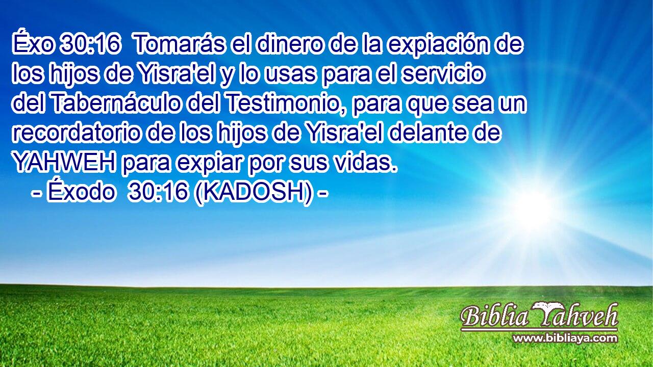  Tomarás el dinero de la expiación de los hijos de Yisra'el y lo usas para el servicio del Tabernáculo del Testimonio, para que sea un recordatorio de los hijos de Yisra'el delante de YAHWEH para expiar por sus vidas. 