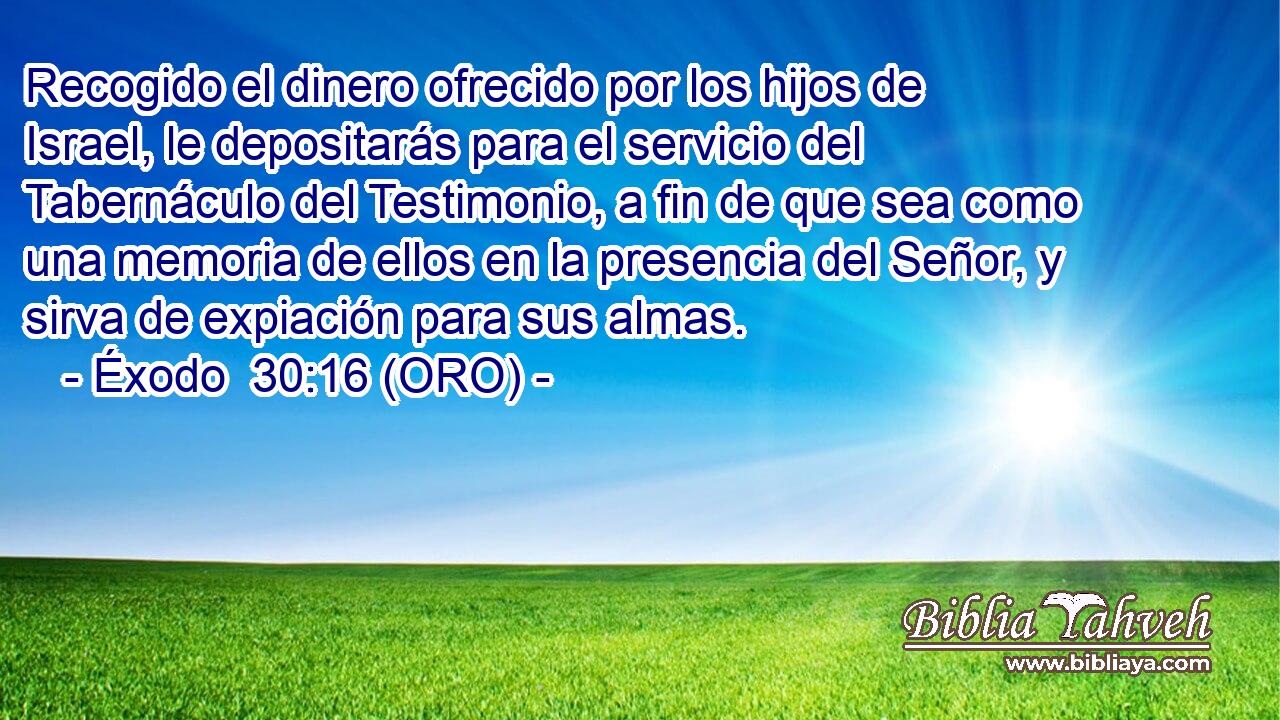  Recogido el dinero ofrecido por los hijos de Israel, le depositarás para el servicio del Tabernáculo del Testimonio, a fin de que sea como una memoria de ellos en la presencia del Señor, y sirva de expiación para sus almas. 