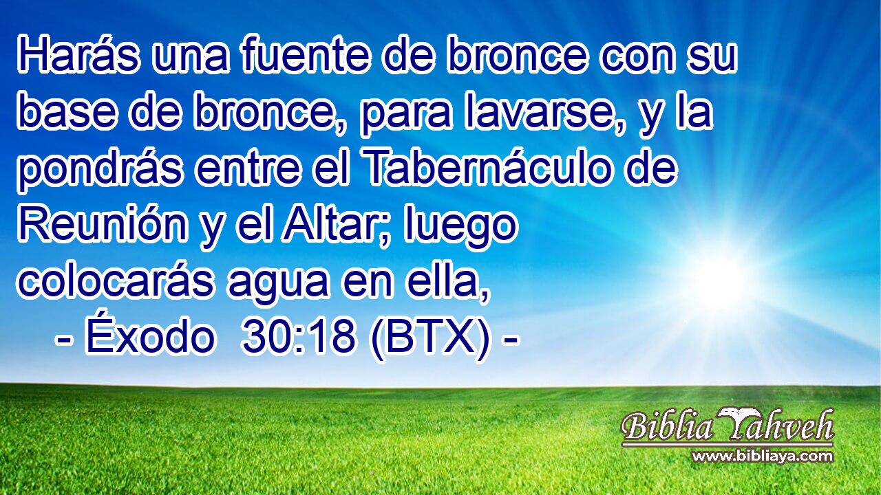Harás una fuente de bronce con su base de bronce, para lavarse, y la pondrás entre el Tabernáculo de Reunión y el Altar; luego colocarás agua en ella,